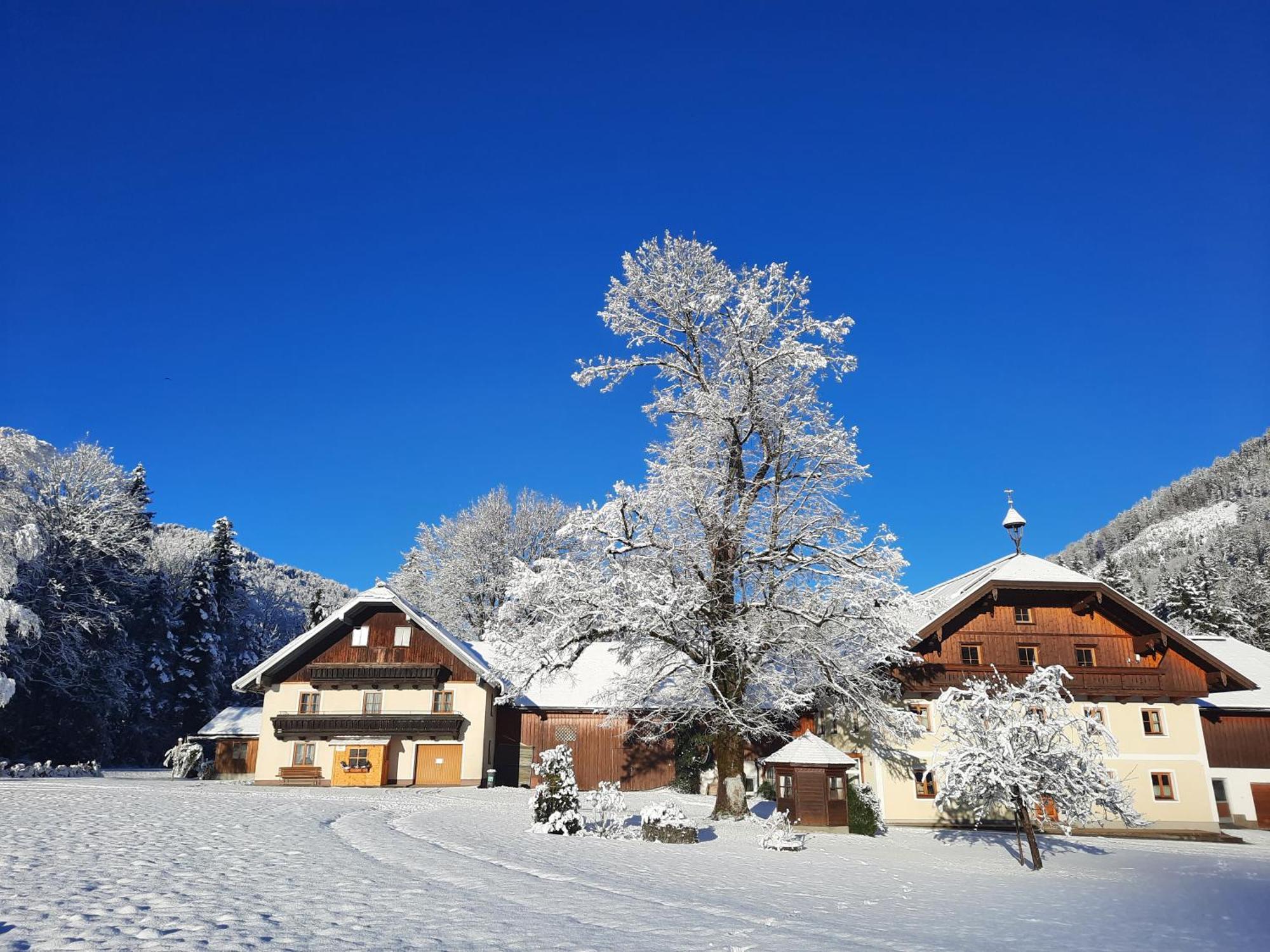 Ferienhaus Laimerbauer Faistenau Exteriér fotografie